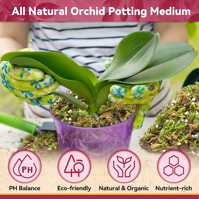 Riare 1QT Orchid Potting Mix for Repotting- Orchid Repotting Kit Include Moss, Pine Bark, Perlite, Coco Peat- Premium Orchid Soil Medium for Indoor Potted Plants Root Ventilation & Expanding