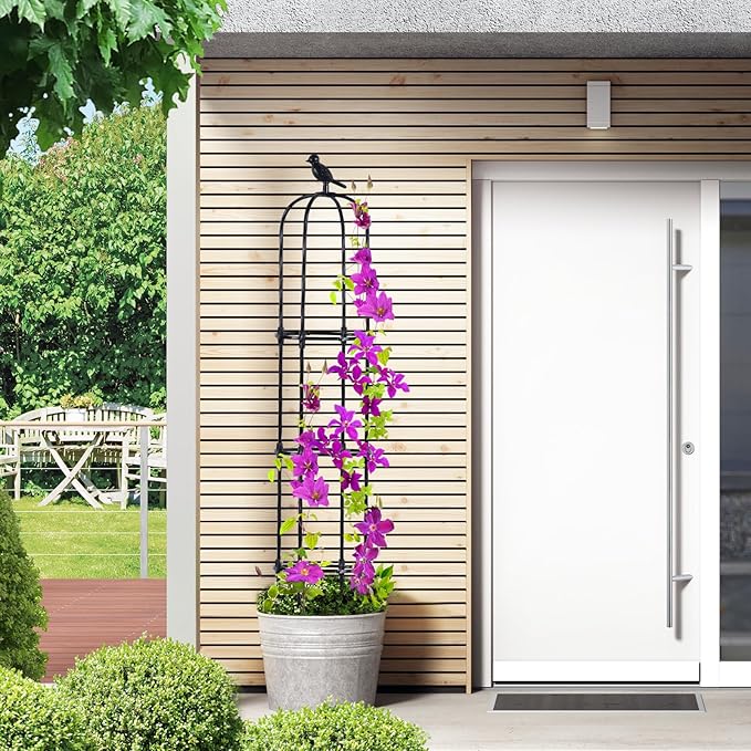 Lalahoni Garden Obelisk Trellis for Climbing Plants Outdoor, 6ft Round Rose Trellis for Pots, Metal Plant Support for Clematis, Jasmine, Ivy, Decorative Outdoor Trellis, Black, 1 Pack