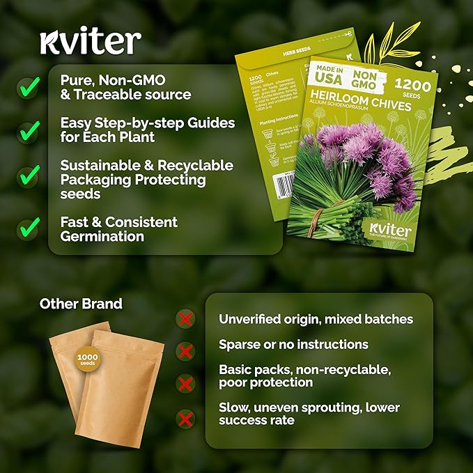 KVITER 1200 Chive Seeds (Allium schoenoprasum) - Know as Onion or Garlic Chives Chives, Mild Flavor -Non GMO & Heirloom Herb Seeds for Planting in Outdoor & Indoor Garden, Borders, Containers