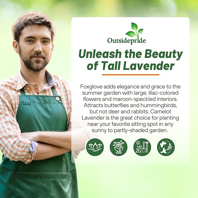 Outsidepride Digitalis Purpurea Camelot Lavender Foxglove Seeds – 50 Pcs Biennial, Prolific, Tall Growing Flower Seeds with Pollinator-Friendly Blooms for Shaded Gardens & Outdoor Landscapes