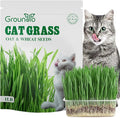 Cat Grass Seeds, 16 OZ, Grown in The USA for Indoor Cats, Non-GMO, 1 Pound