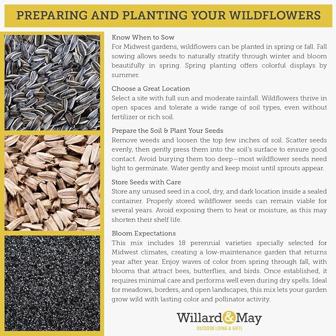 Willard & May Southeast All Perennial Wildflower Seed Mix, 25,000+ Flower Seeds, 15 Varieties, Pollinator Flowers, Full Sun, Easy Direct Sow Bulk Seeds, Plant in Spring or Fall (1 Ounce)