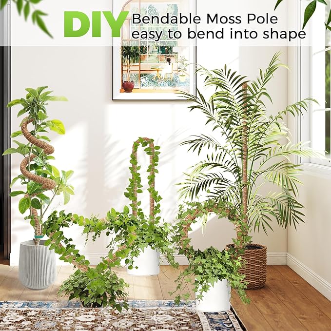 Monstera Plant Support 2 Pack 63 Inch Moss Pole Bendable Monstera Support for Climbing Plants Extra Large Handmade Moss Poles Aluminum Plant Support Stakes Indoor Grow Upwards