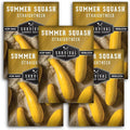 Survival Garden Seeds - Straightneck Summer Squash Seed for Planting - 5 Packets with Instructions to Plant and Grow Yellow Squash in Your Home Vegetable Garden - Non-GMO Heirloom Variety