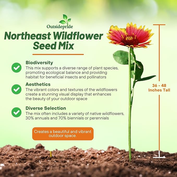 Outsidepride Northeast Wild Flower Seed Mix - 1/4 lbs Premium Blend of Vibrant Biennial & Annual Wildflower Seeds for Northeastern States, Ideal for Meadows, Borders, Gardens, & Attracting Pollinators