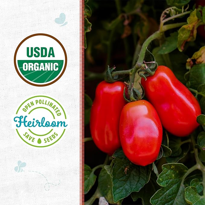 Back to The Roots 100% Organic Seed Packet - Tomato 'San Marzano' 100mg