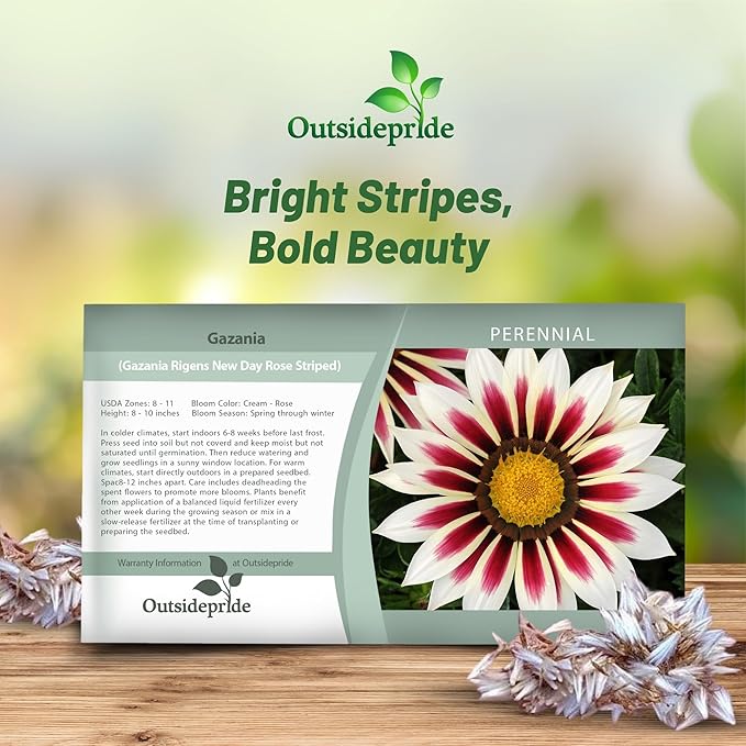 Outsidepride New Day Rose Striped Gazania Seeds for Planting – 25 Pcs Perennial, Low-Maintenance, Drought-Tolerant Ground Cover Seeds for Vibrant Summer & Fall Flowers, Great for Outdoor Gardens