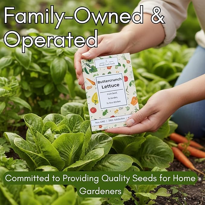 Salad Garden Seed Bundle – Mixed Lettuce, Spinach & Arugula Seeds for Planting | Leafy Greens Variety Pack for Outdoor, Indoor & Hydroponic Gardens | Heirloom, Non-GMO | Woods Creek Seeds