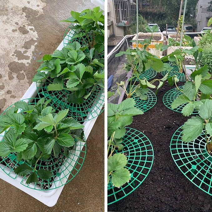 ANGTUO 10 Pack Strawberry Supports for Garden Strawberry Plant Support Strawberry Stand Holder Strawberry Racks Growing Frame