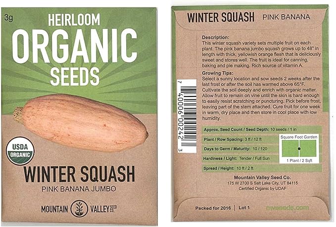 Pink Banana Jumbo Winter Squash Garden Seeds - 3 g Packet - Organic, Non-GMO, Heirloom - Vegetable Gardening Seed