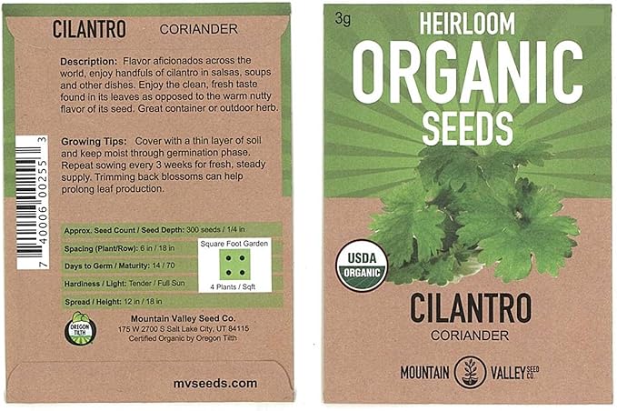 Organic Cilantro Seeds – 3g (~215 Seeds)