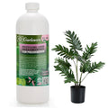 𝐏𝐑𝐎𝐅𝐄𝐒𝐒𝐈𝐎𝐍𝐀𝐋 Liquid Silica Plant Supplement - 32oz - PHILODENDRON Plants Liquid Silica Boost Fertilizer - Stronger Stems & Healthy Leaves for Indoor & Outdoor Plants (Makes 180 Gallons)