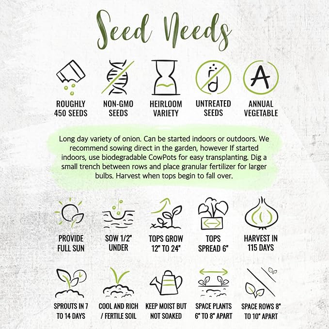 Seed Needs Onion Seeds for Planting Yellow Sweet Spanish Long Day Onions - Non-GMO Heirloom & Untreated Vegetable Seeds to Plant an Outdoor Home Grown Veggie Garden (1 Pack)