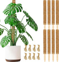 JJGoo Moss Pole for Plants Monstera,【8 Pack】 23.6 inch Plant Support Pole, Extendable Coir Totem Pole for Potted Plants Pothos, Train Indoor Climbing Plants to Grow Upwards