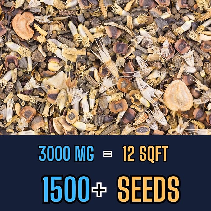 Birds & Butterfly Wildflower Mix (Seed Packet) Sprinkle a Little Magic—Our Shade, Perennial, Hummingbird, Deer-Resistant, and Other mixes Bring Vibrant Color and pollinator Joy to Any Space.