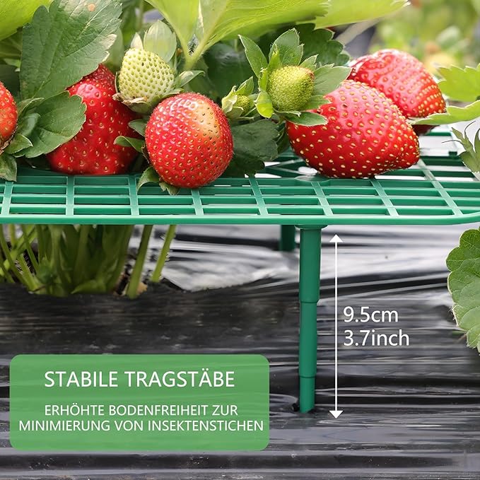 ANGTUO 10 Pack Strawberry Plant Support, Strawberry Support Growing Racks for Keeping Garden(5 Square+5 Round)