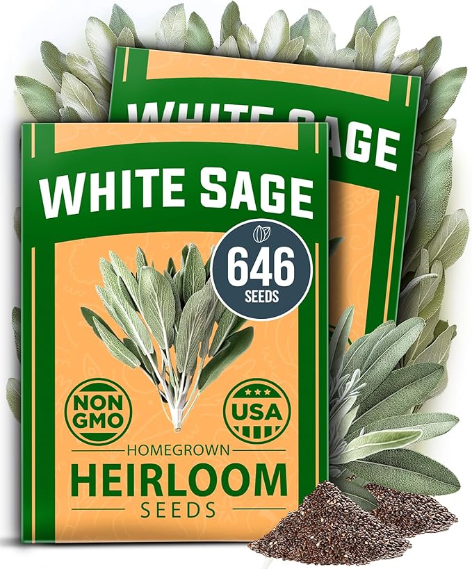 HOME GROWN Genovese Basil Seeds 2 Pack 3500 & Peppermint 4,740 & White Sage 646 & Lemon Balm 806
