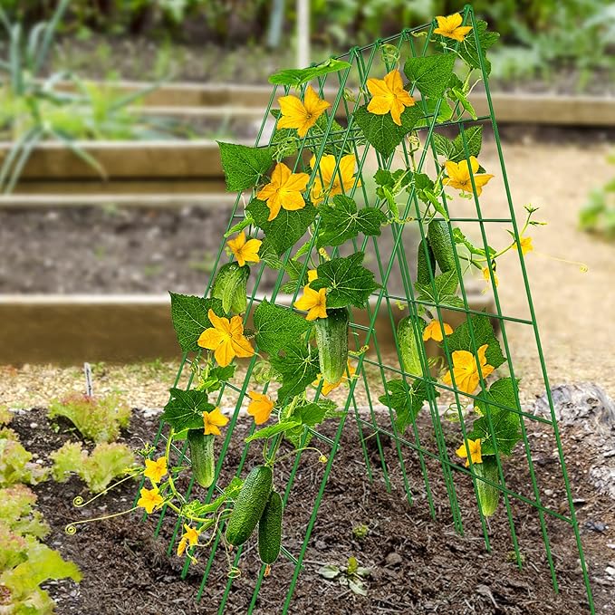DoCred Cucumber Trellis, 2 Pack Foldable A Frame Trellis for Raised Bed Climbing Plants, Vegetables, Includes Plant Support Clips, Twist Ties, Plastic Ties- Made from PVC-Coated Steel
