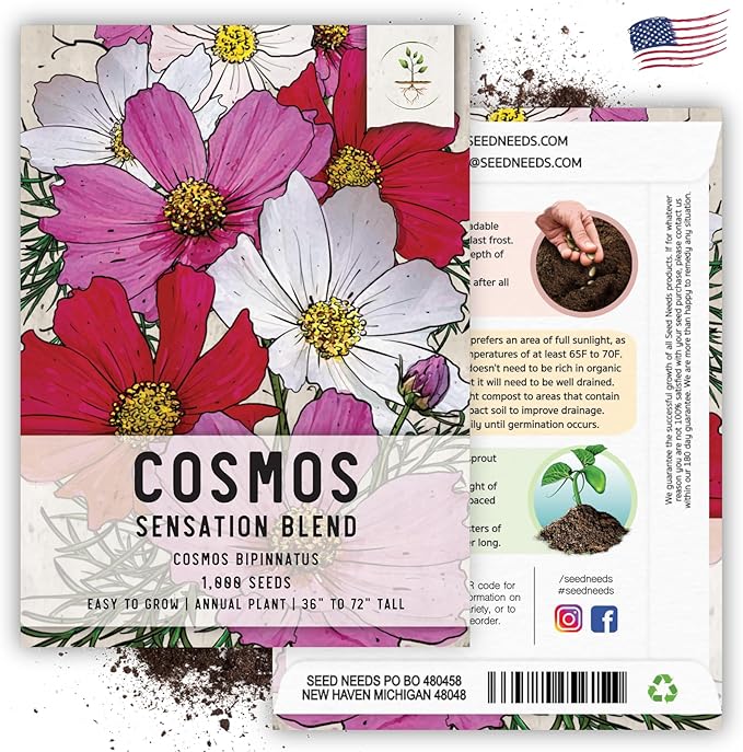 Seed Needs, Sensation Mixed Cosmos Seeds - 1,000 Heirloom Seeds for Planting Cosmos bipinnatus - Colorful Flowers Make a Great Cut Flower, Attracts Butterflies & Pollinators (5 Packs)