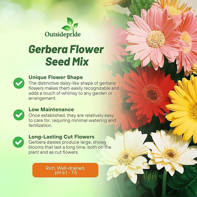 Outsidepride Hybrids Mix Gerbera Seeds - 100 Pcs Perennial, Compact & Low Maintenance, Flower Seeds for Planting w/Vibrant Mixed Blooms, Ideal for Garden Landscaping & Cut Flower Arrangements
