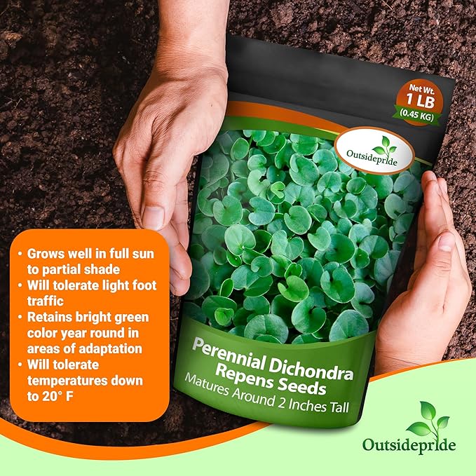 Outsidepride Perennial Dichondra Repens Seeds - 1 lb Dense Green, Low-Maintenance Ground Cover Seeds for Planting, Ideal Lawn Alternative in Sun or Shady Areas & Erosion Control in USDA Zones 8-11