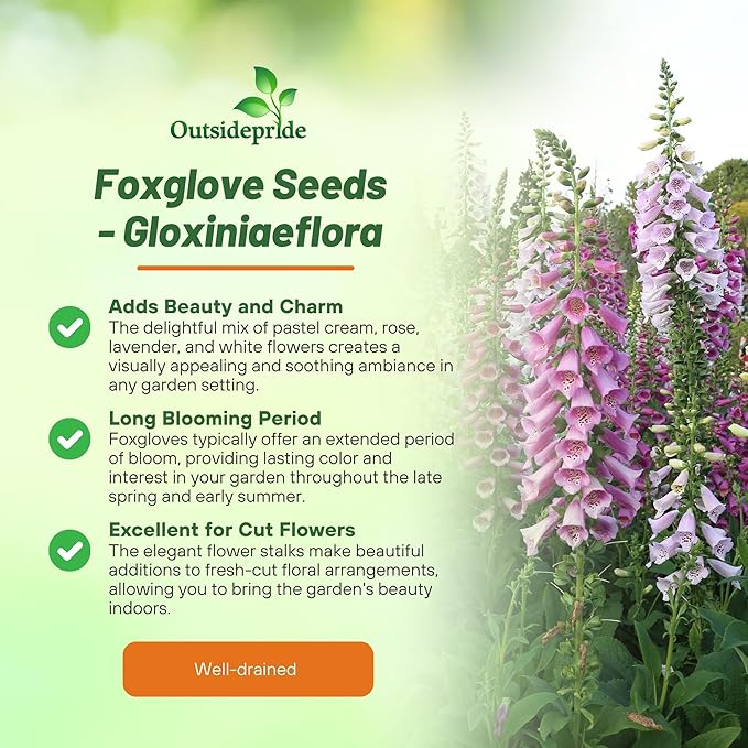 Outsidepride Digitalis Purpurea Gloxiniaeflora Mix Foxglove Seeds – 5000 Pcs Biennial, Prolific, Tall Growing Flower Seeds with Pollinator-Friendly Blooms for Shaded Gardens & Outdoor Landscapes