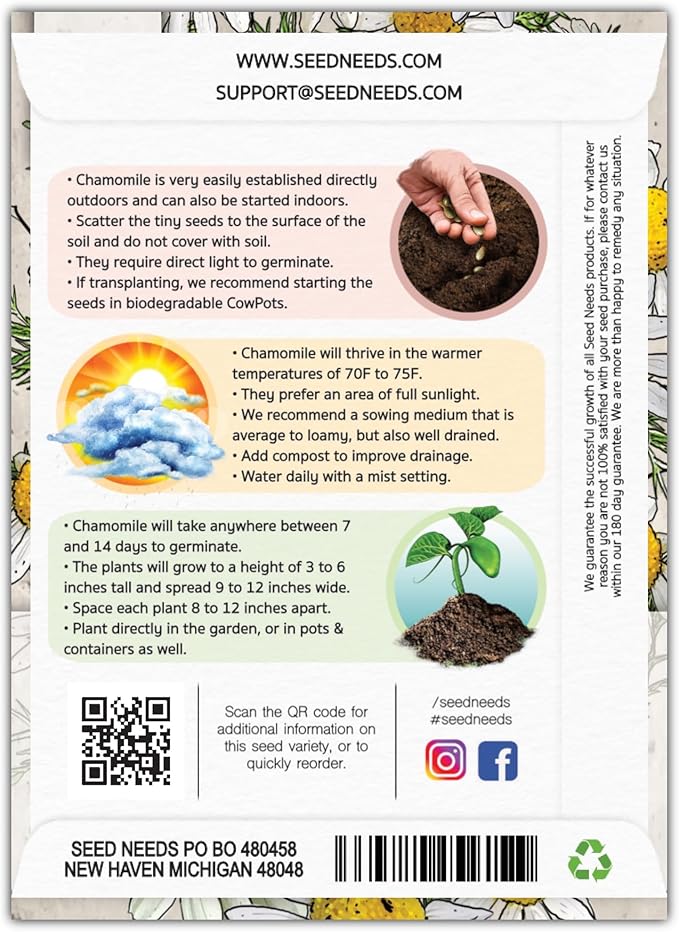 Seed Needs Roman Chamomile Seeds for Planting - Non-GMO, Heirloom & Untreated - Grow a Home Grown Medicinal Tea Herb Garden Indoors or Outdoors (1 Pack)