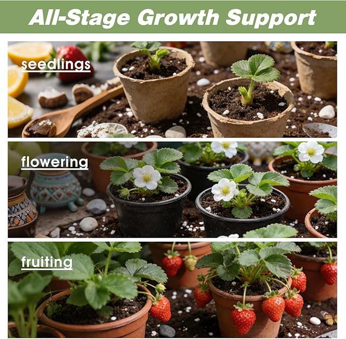 All-Natural Strawberry Soil & Potting Mix 10qt - Premium Potting Soil for All-Stage Strawberry Growth