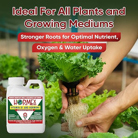 Hormex Rooting Hormone Concentrate with B1 – Root Growth Stimulator for Stronger, Thriving Plants - Prevents Transplant Shock - Hydroponics, Houseplants, Gardens, Trees, Fruits and Vegetables - 4oz