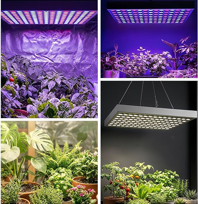 LED Plant Growth Lamp, 75W Indoor Plant Growth Bulb, Red and Blue Full-Spectrum Plant Lamp, Suitable for Nurseries, Horticulture, Hydroponics and Greenhouses