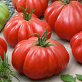 Stuffer Pink Tomato Seeds - 300 Mg Packet ~65 Seeds - Non-GMO, Heirloom - Vegetable Garden - Solanum lycopersicum