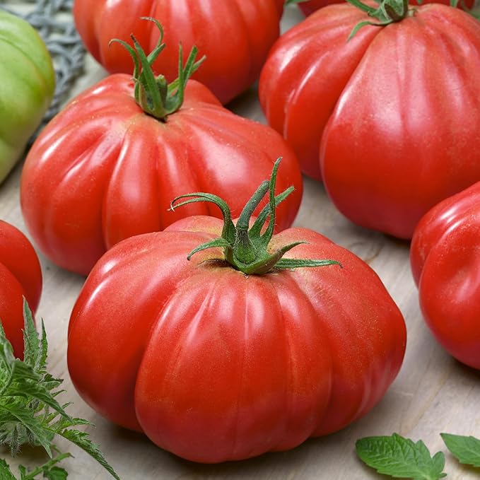 Stuffer Pink Tomato Seeds - 300 Mg Packet ~65 Seeds - Non-GMO, Heirloom - Vegetable Garden - Solanum lycopersicum