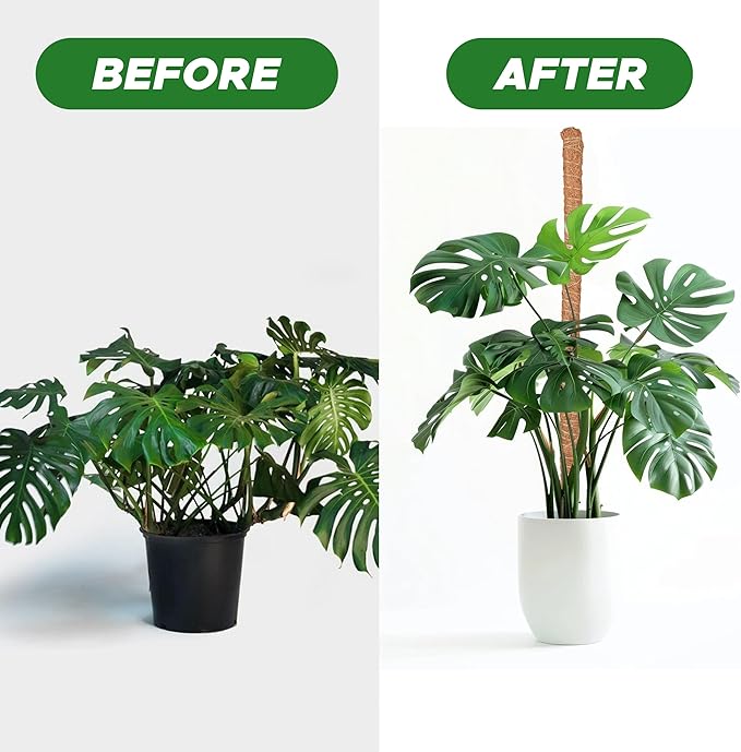 EcoNour 2 Pack Moss Poles for Plants – 28" Monstera Plant Support Stakes, Coir Plant Sticks for Indoor Climbing Plants, Pothos, Philodendron & Houseplants