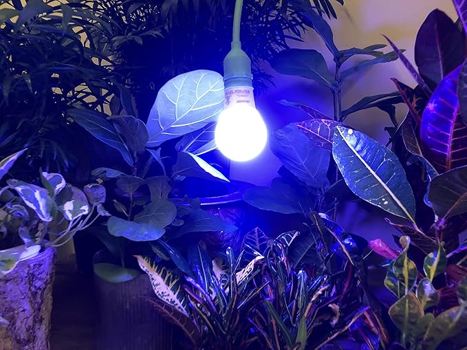 Miracle LED 4KK Professional Indoor Grow Light Bulb – 4000K Blue Spectrum Replace 150W Grow Bulbs for Vegetables, Herbs, Hydroponics. (1-Pack)