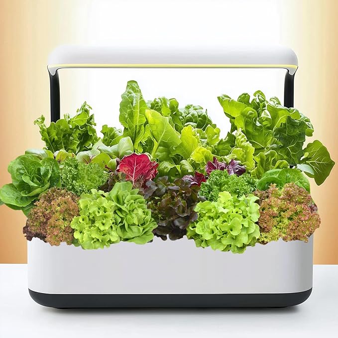 20,000+ Lettuce Seeds, Heirloom Winter Vegetable Seed for Planting Indoor Outdoor, 10 Varieties Fresh Lettuce Salad Seeds Garden Hydroponics Kit - Romaine, Iceberg, Boston, Bibb and More, Non-GMO