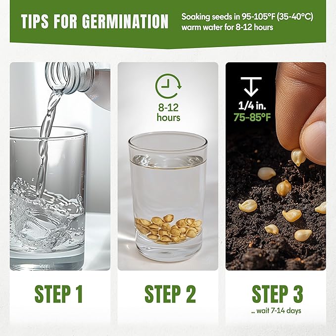 Fall & Winter Pepper Seeds – 15 Sweet & Hot Varieties, 750+ Non-GMO Heirloom Seeds for Indoor or Outdoor Planting Kit