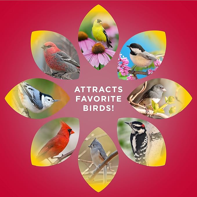 Audubon Park Cardinal Blend Wild Bird Food, Cardinal Bird Seed for Outside Feeders, 4-Pound Bag (Pack of 2)