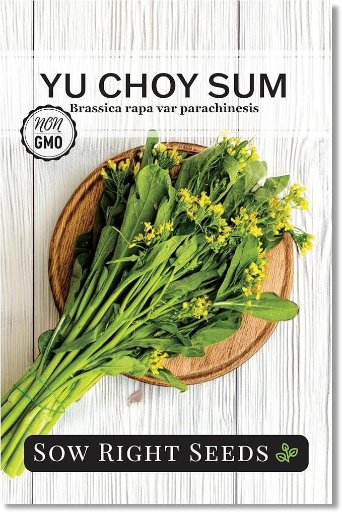 Sow Right Seeds - Yu Choy Sum Seeds for Planting - Unique Chinese Cabbage Variety - Asian Vegetable - Easy to Grow - Non-GMO Heirloom Greens - Versatile in Large Gardens or Small Spaces (1)
