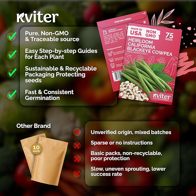 KVITER 75 California Black Eyed Peas Seeds for Planting (Vigna Unguiculata L.) — Cowpeas, Heirloom, Non GMO & Organic Peas, Field Peas, Heavy Yield — Vegetable Seeds for Outdoor Garden, Containers