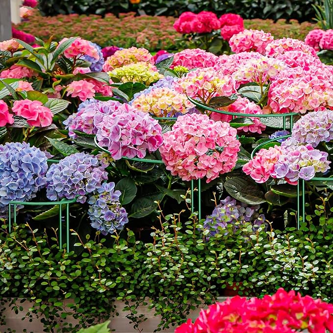 6-Pack 46.3” Plant Support Stakes, Steel Plant Cage & Peony Tomato Hydrangea Cage, Garden Stakes for Outdoor Plants, Heavy-Duty Plant Stakes, 16.7” Support + 29.6” Extension Tubes