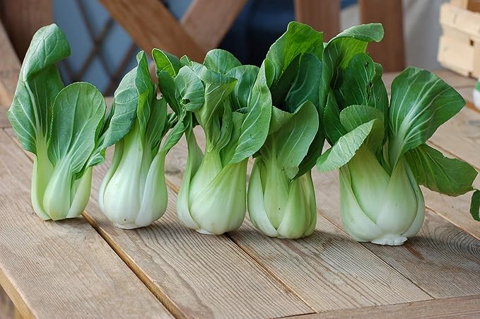 Seeds Vegetable Chinese Cabbage Bok Choy (Pak Choi) Green - 300 Seeds