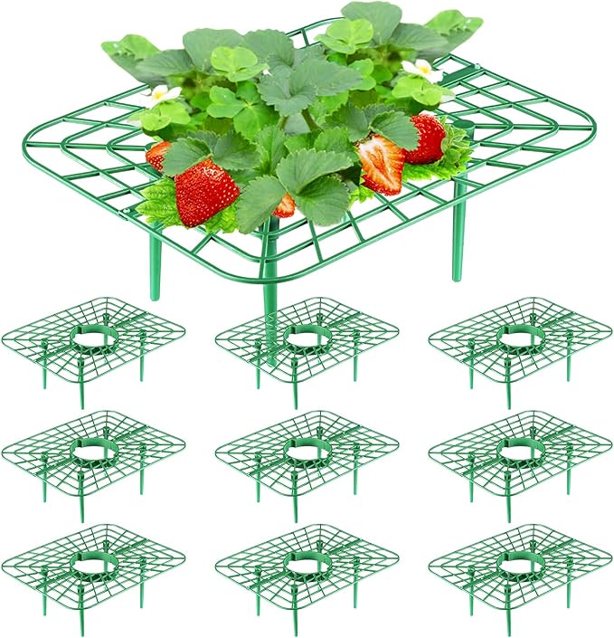 Havawish 10 Pack Strawberry Plant Support Holder for Chocolate Covered Strawberries Square Outdoor Plant Stand Holder, Growing Racks Growing Frame for Keeping Garden Clean