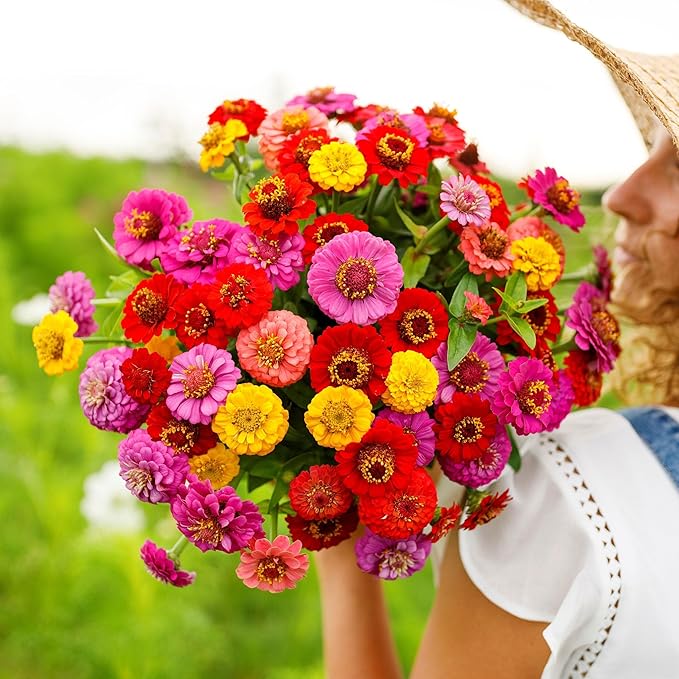 Eden Brothers Zinnia Seeds - Lilliput Mix, Non-GMO Seeds for Planting, 1 oz | Low-Maintenance Flower Seeds, Plant During Spring, Zones 3, 4, 5, 6, 7, 8, 9, 10