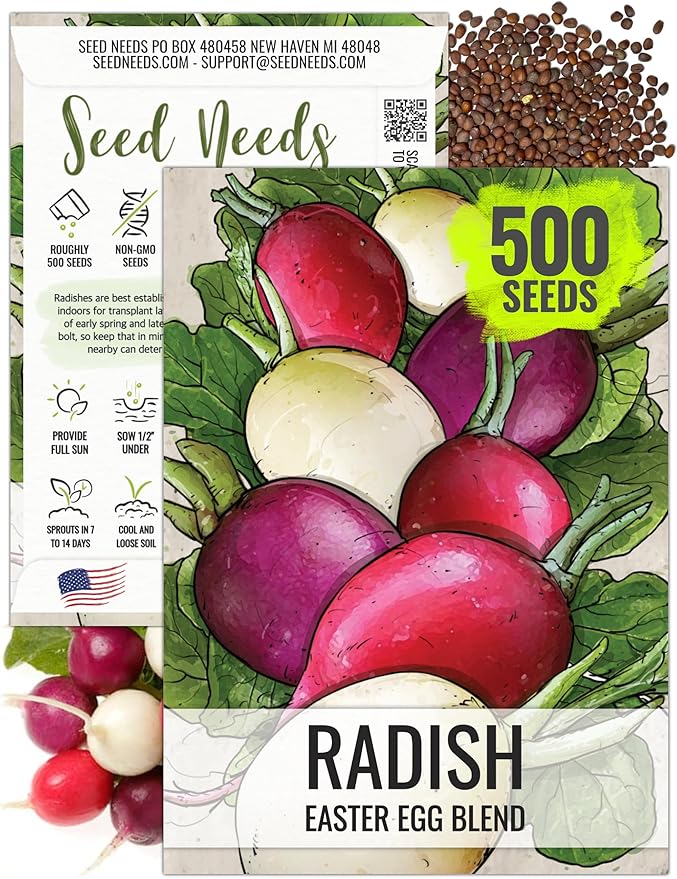 Seed Needs Radish Seeds for Planting Easter Egg Radishes - Non-GMO Heirloom & Untreated - Grow a Home Grown Vegetable Garden - Cool Weather Crops (1 Pack)