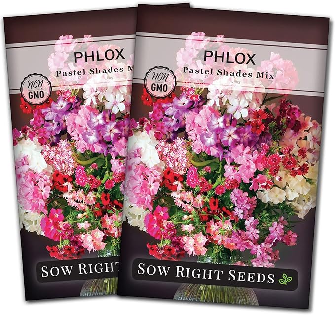 Sow Right Seeds - Pastel Shades Mixed Phlox Seeds for Planting - Beautiful Flowers to Plant in Your Home Pollinator Garden - Non-GMO Heirloom Seeds - Creeping Perennial with Pretty Flower Clusters (2)