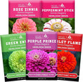 NatureZ Edge Zinnia Seeds for 2026 Planting Outdoors, Over 650 Flower Seeds, 5g, Non GMO Made in USA, Bulk Semillas De Flores para Sembrar, Variety Mix, Easy to Grow Zinnia Seed Mix