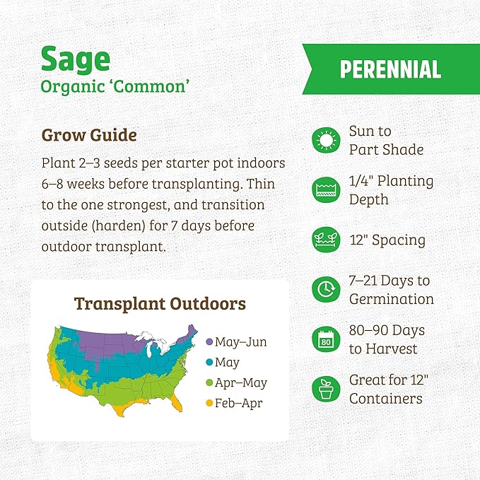 Back to The Roots 100% Organic Heirloom Seeds - Sage Value Pack (280mg Total)