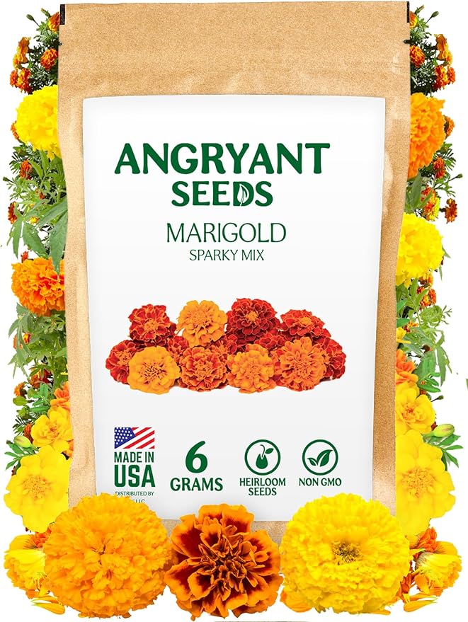 Marigold Sparky Flowered Mix - Beautiful Flowers Seeds for Planting Indoors and Outdoors in Your Home Garden - 1998+ Non GMO Mix Seeds - 100% USA Grown - Annual, Open Pollinated Wildflower Seeds Bulk