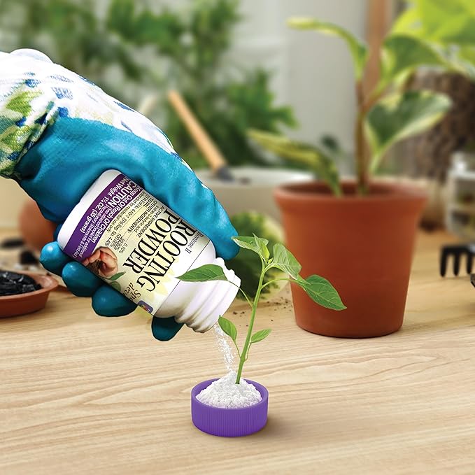Bonide Bontone II Rooting Powder,1.25 oz Ready-to-Use Dust for Houseplants and Transplants Speeds Root Development,(Pack of 2)
