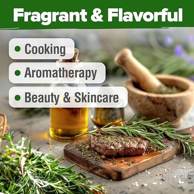 HOME GROWN Rosemary Seeds Pack - 300 High Germinating Heirloom Herb Seeds for Planting in Indoor or Outdoor Herb Gardens (Salvia rosmarinus)